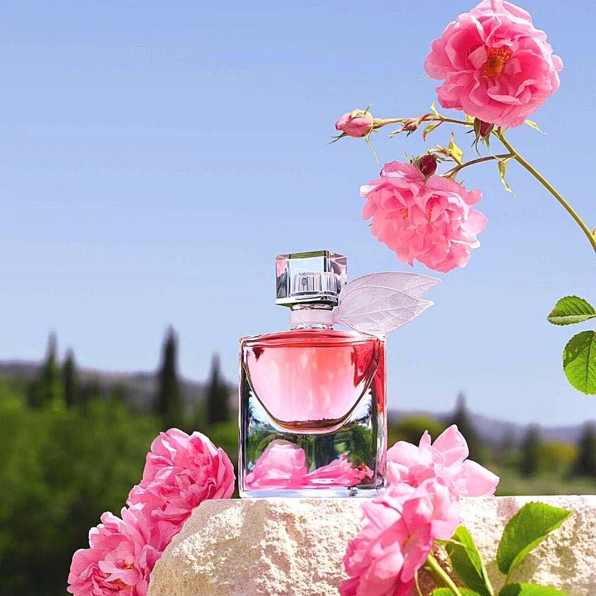 Belle Lumière Roll On Perfume Oil (Inspired By La Vie Est Belle)