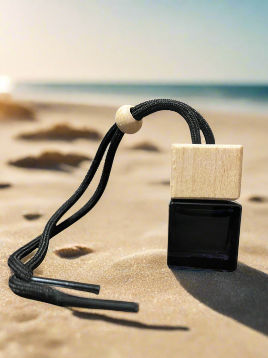 Nomad Essence Luxe Car Diffuser (Inspired By Dior Sauvage)